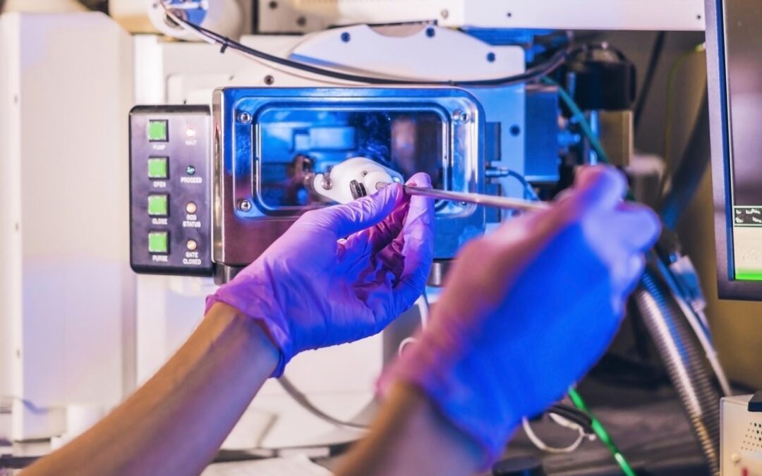 CRISPR Uncovers SDR42E1: A Vitamin D Gene That Stops Tumours in Their Tracks